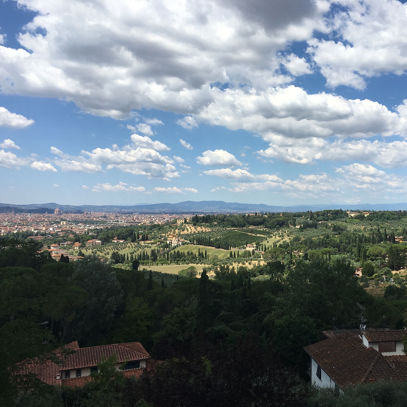 View of the city of Florence