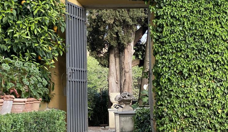 Photo of doorway in I Tatti's garden
