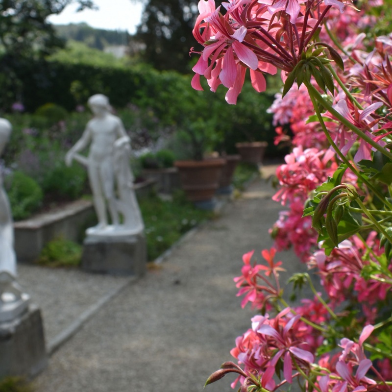Statues and flowers in the I Tatti garden
