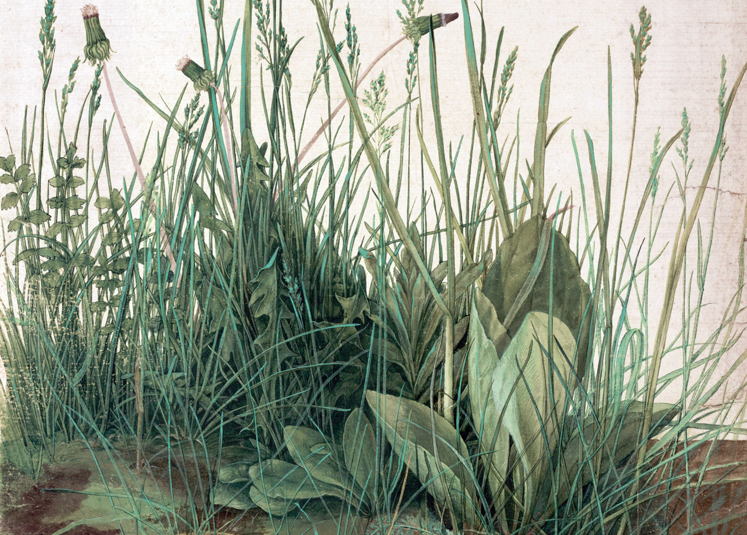 Albrecht Dürer, The Large Piece of Turf, 1503. Graphite and watercolor on paper. Albertina, Vienna.