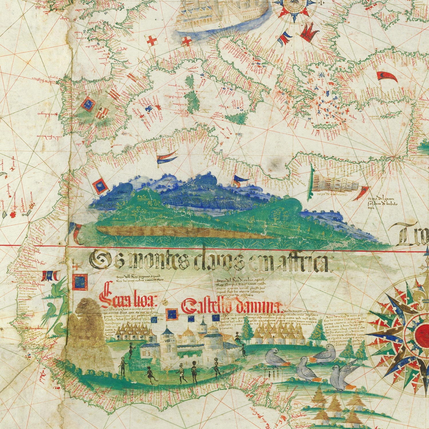Cantino planisphere