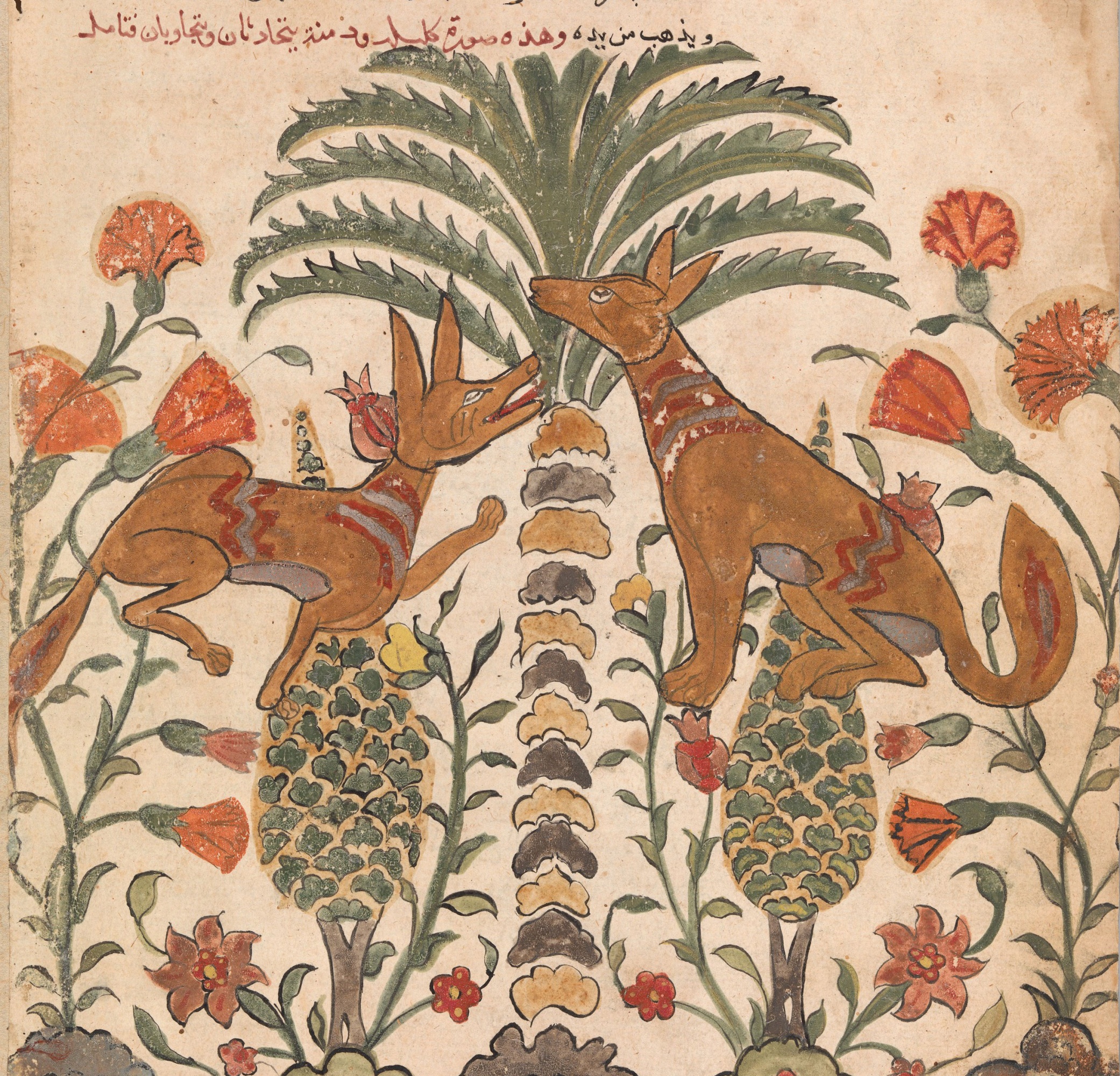 Kalila Upbraiding Dimna, India (Gujarat), second quarter of the 16th century. The Metropolitan Museum of Art, New York.