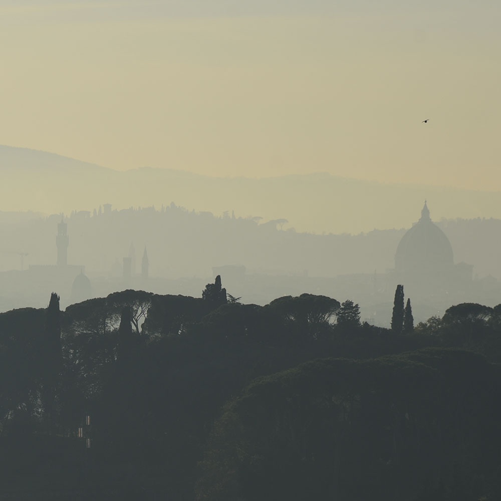 view of the city of Florence