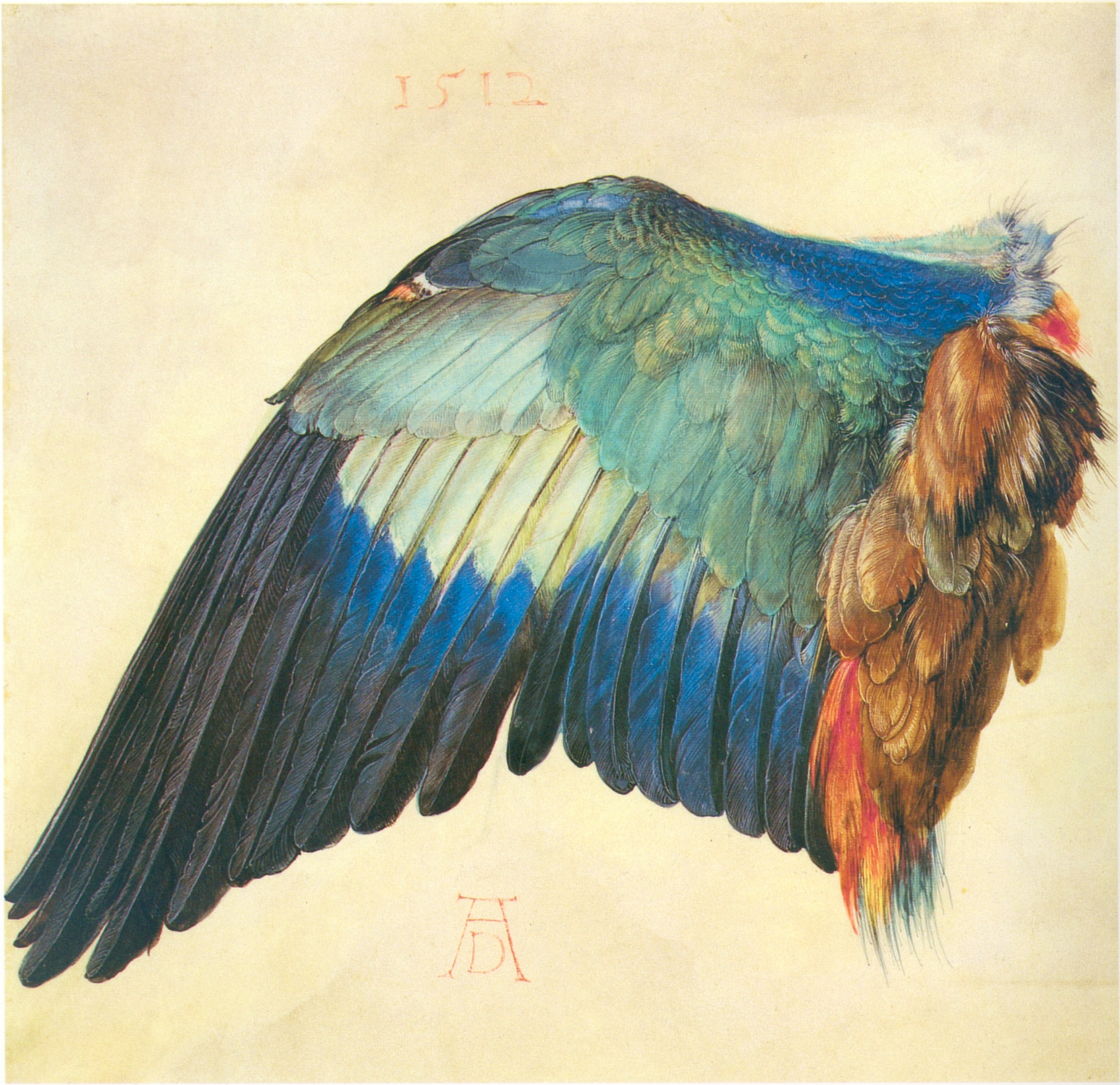 Albrecht Dürer, Wing of a European Roller, c. 1500. Vienna, Albertina Museum.