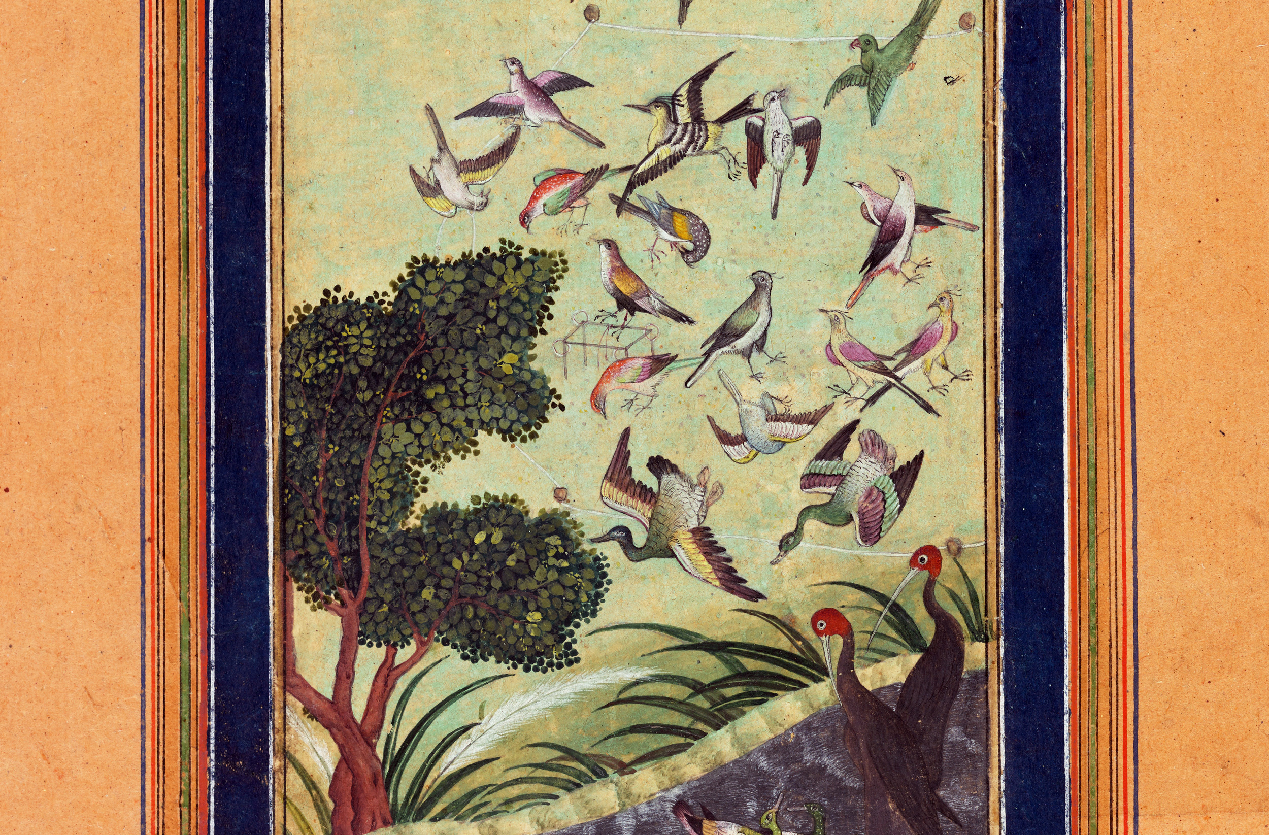 Birds at Baran, probably from the Baburnama, Mughal India, late 16th century. Freer Gallery of Art, Smithsonian’s National Museum of Asian Art.
