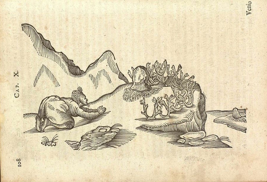 Johannes Gerhard Scheffer, Lapponia: id est, regionis Lapponum et gentis nova et verissima descriptio, Frankfurt, Christian Wolff, 1673, p. 108
