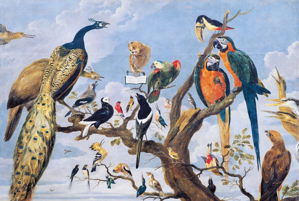 Paul De Vos - Concert of birds - circa 1591-1678
