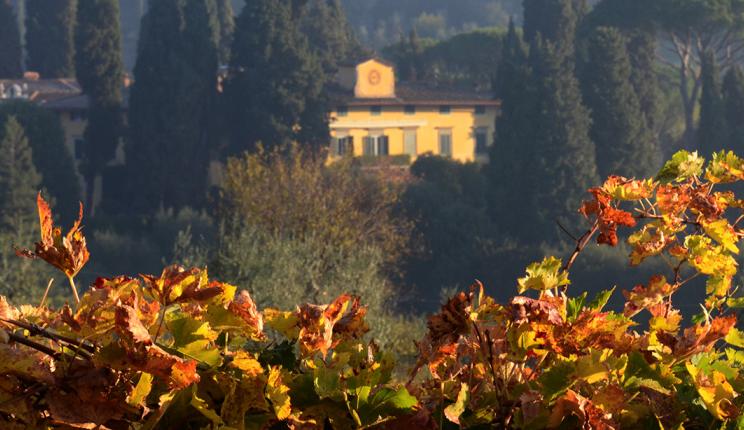 Call for Applications: Term Fellowships at I Tatti, 2018/2019