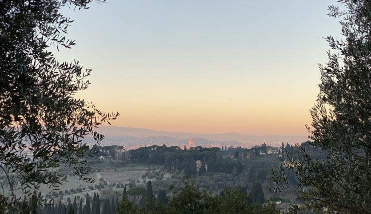 view over Florence and the I Tatti estate from the surrounding hillside