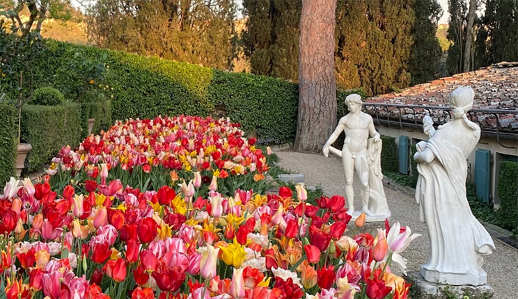 statues and tulips in the garden of I Tatti