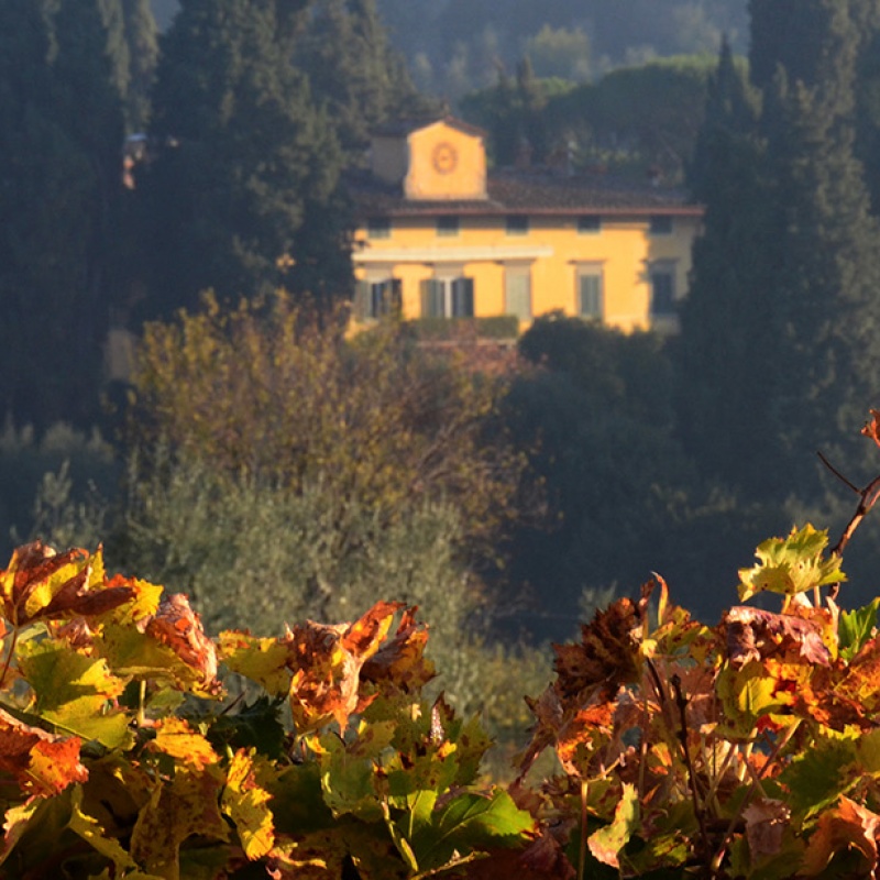 Call for Applications: Term Fellowships at I Tatti, 2018/2019