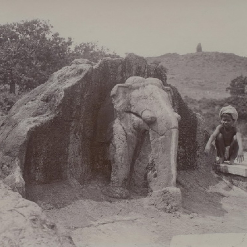 Longing for India 