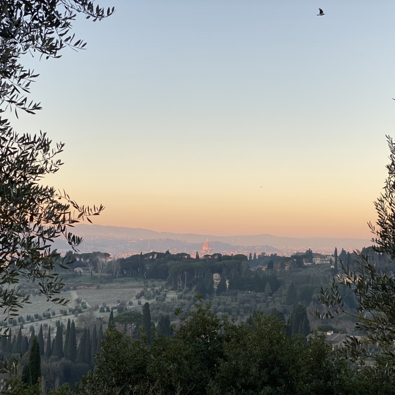 view over Florence and the I Tatti estate from the surrounding hillside