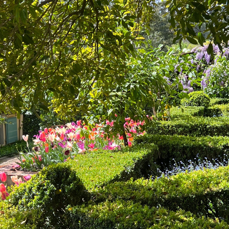 Detail of the I Tatti garden