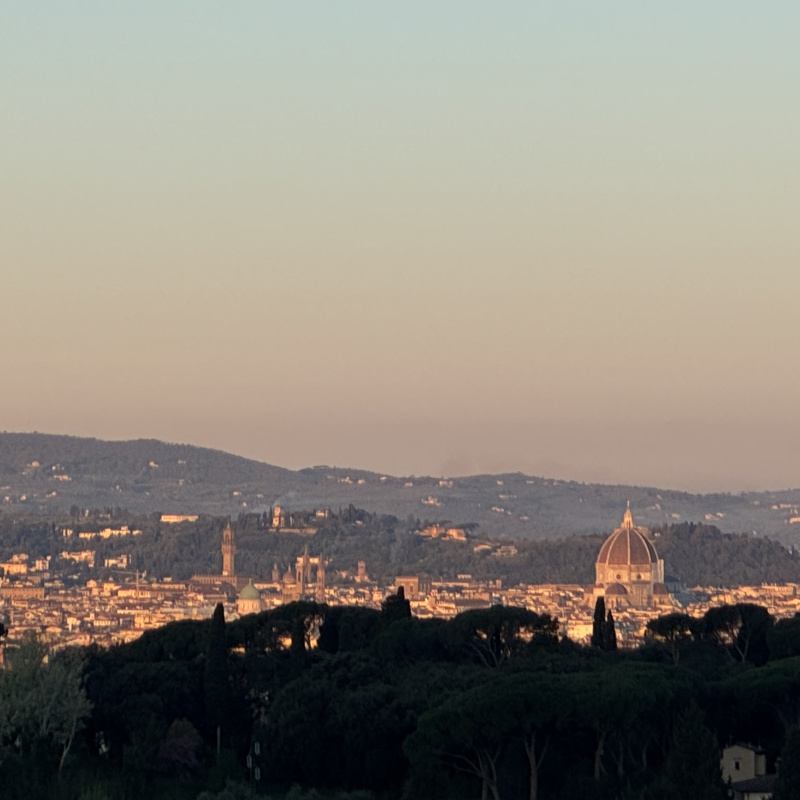 View of Florence from the I Tatti estate