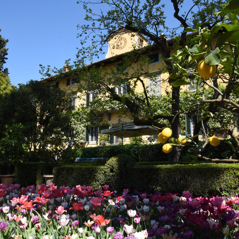 Applications are Now Open for I Tatti’s 2027/28 Fellowships Villa I Tatti with tulips in the foreground