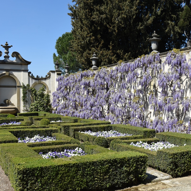 I Tatti garden (detail)