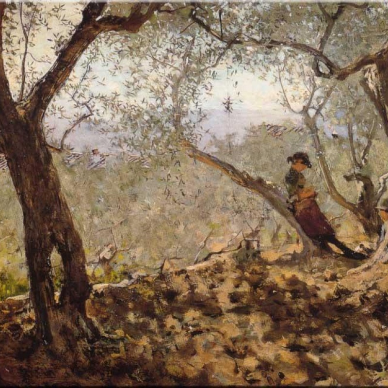 Telemaco Signorini olives in Settignano