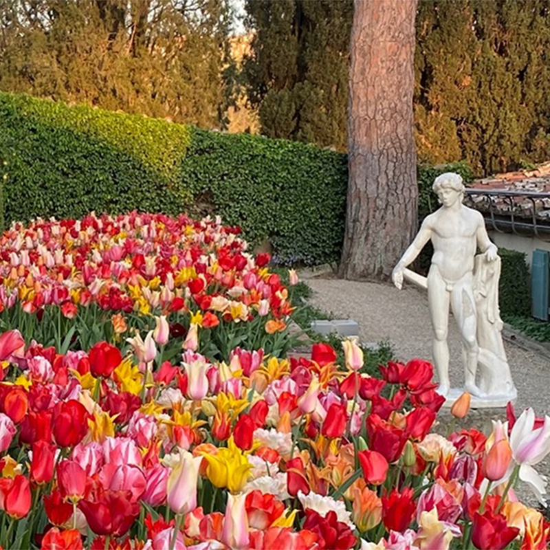 statues and tulips in the garden of I Tatti